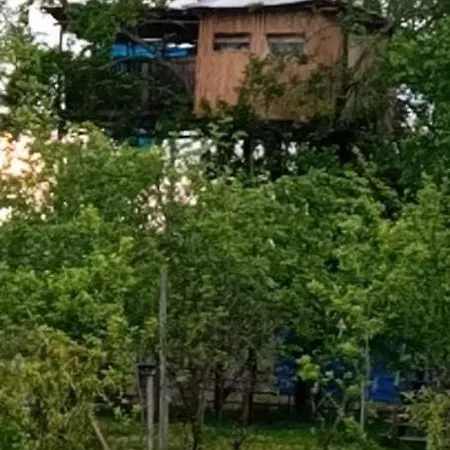Eagle Nest Apartment Martvili Exterior photo